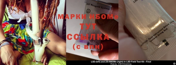 PSILOCYBIN Баксан