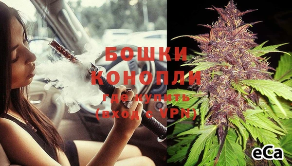PSILOCYBIN Баксан