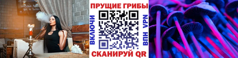 ОМГ ОМГ как войти  Сухой Лог  Псилоцибиновые грибы Cubensis 